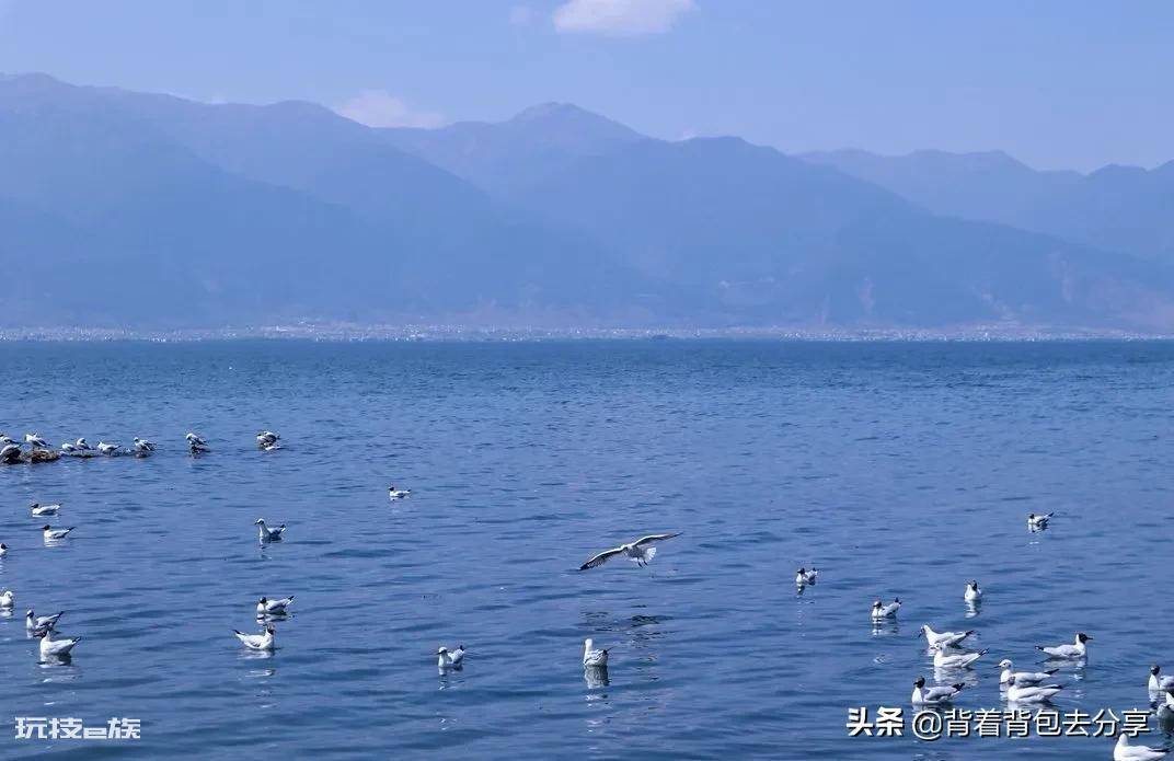 云南有什么好玩的地方景点推荐(云南必去十大著名景区排行)-图片3